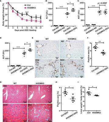 The HVEM-BTLA Immune Checkpoint Restrains Murine Chronic Cholestatic Liver Injury by Regulating the Gut Microbiota